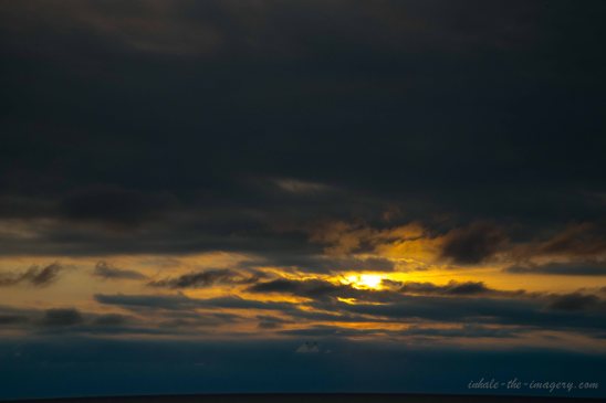 TWO DUCKS ALWAYS MAKE A FORMATION