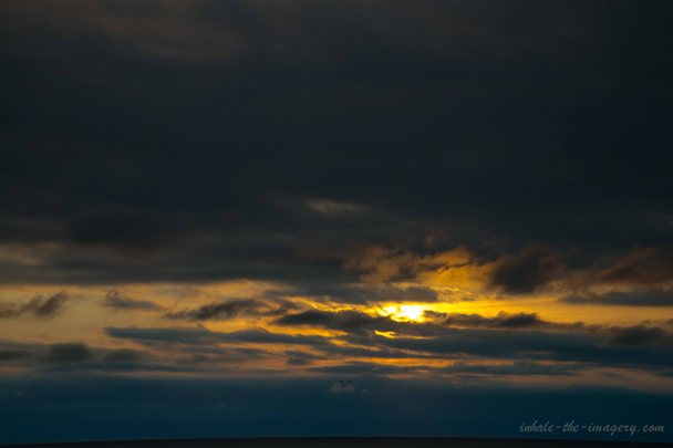 TWO DUCKS ALWAYS MAKE A FORMATION