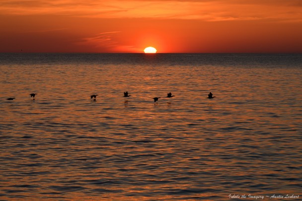 JUST FOR THE HECK OF IT