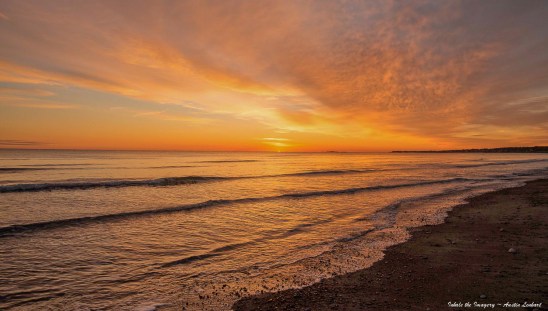 PERSPECTIVE: GAHNDI, MOTHER TERESA, MARTIN LUTHER KING JR. AND THE RISING SUN.